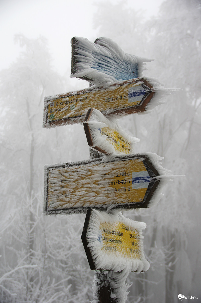 Az Északi sark közelében... 