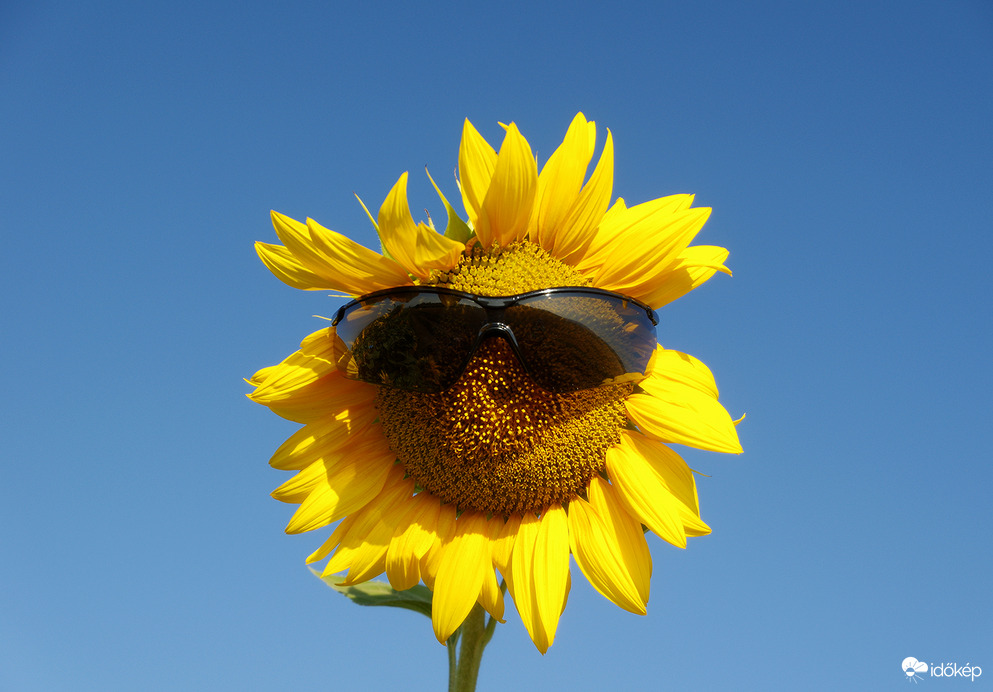 Legyen szép napotok!