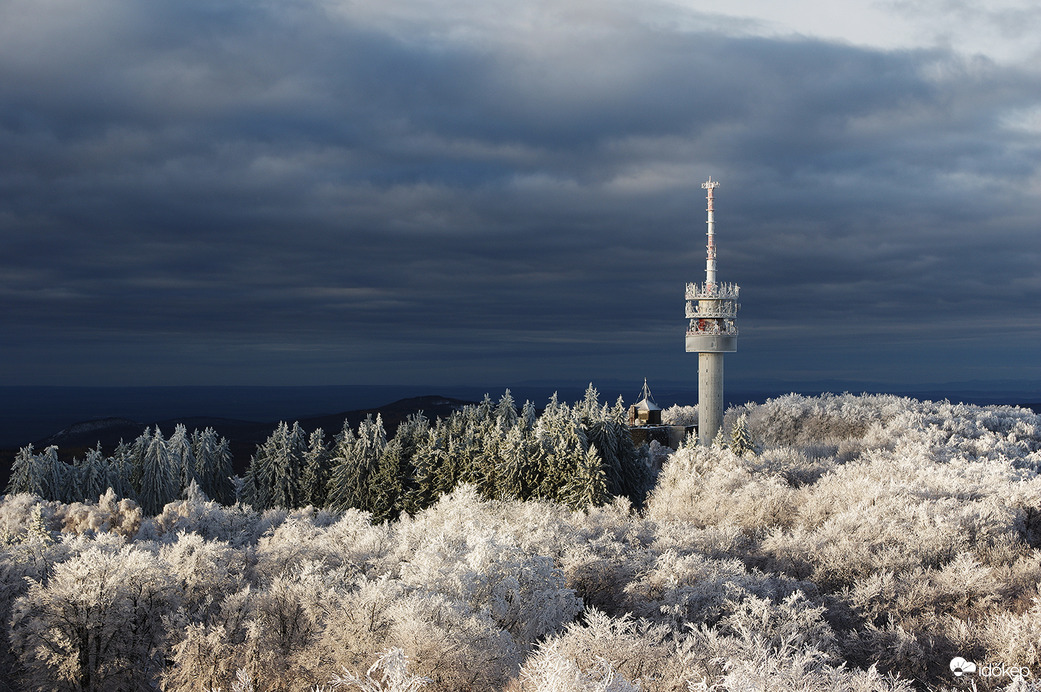 Nem volt biztató...