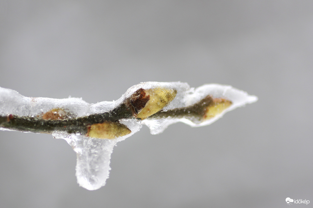 Eltévedve az időben...