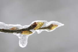 Eltévedve az időben...