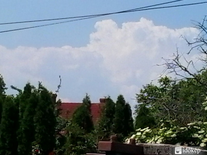 Észlelési fényképek