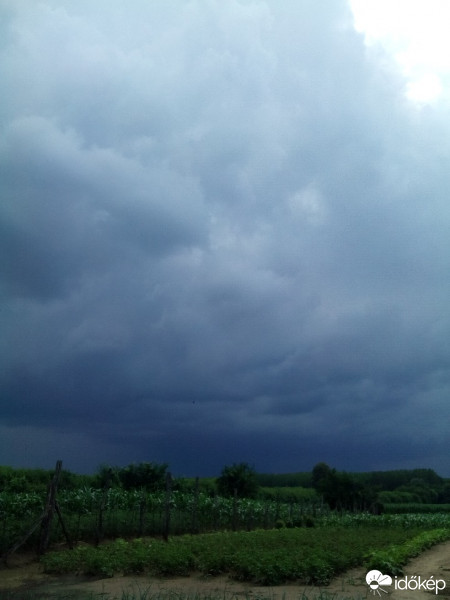 Észlelési fényképek