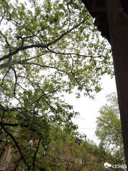 Észlelési fényképek