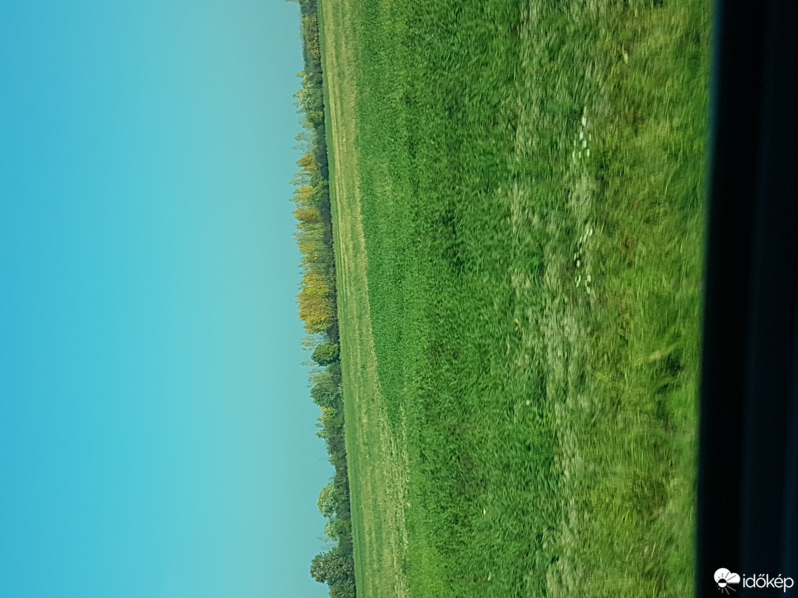 Szilsárkány