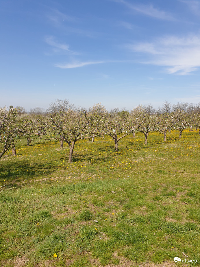 Győrújbarát