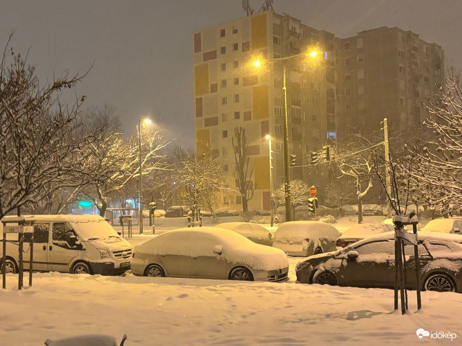 Észlelési fényképek