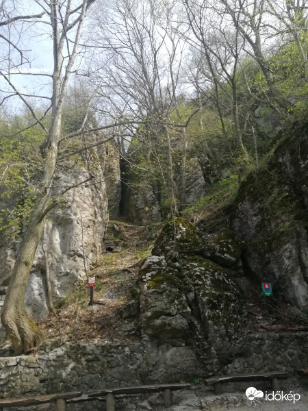 Éled a természet 