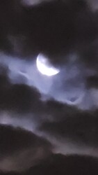 Budapest II.ker - Törökvész