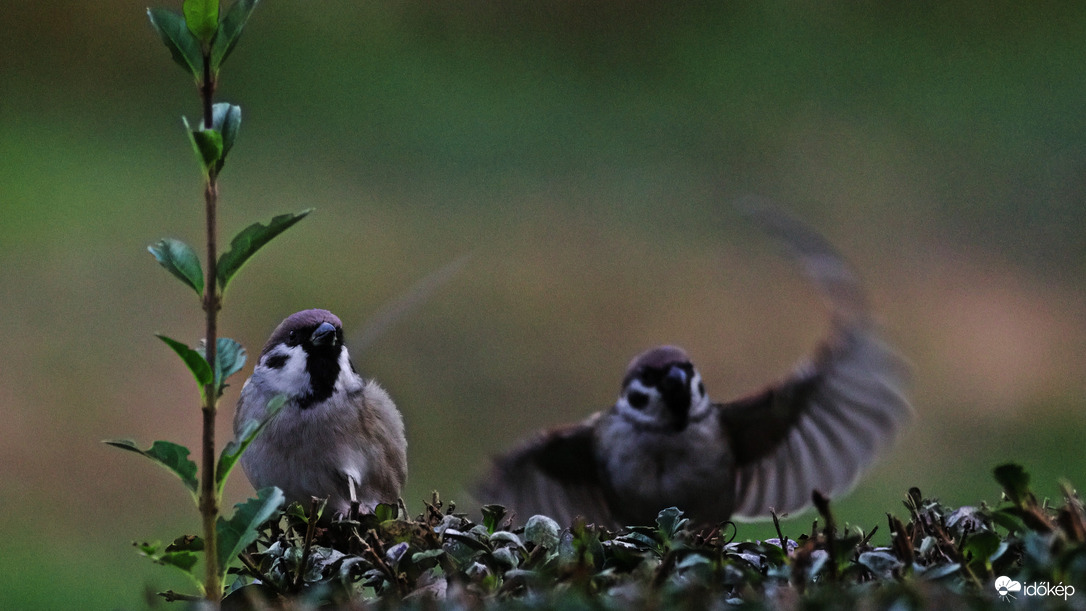 Final approach