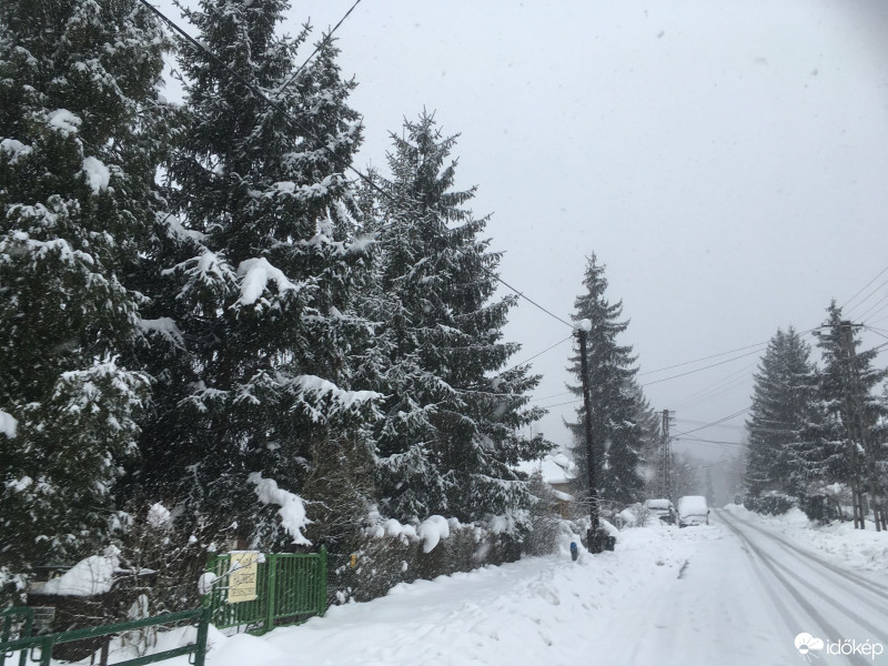 Észlelési fényképek