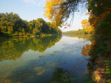 Tisza