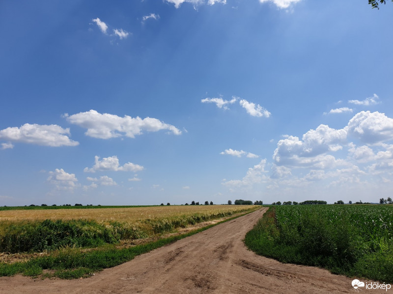 Észlelési fényképek