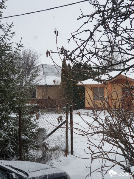 Észlelési fényképek