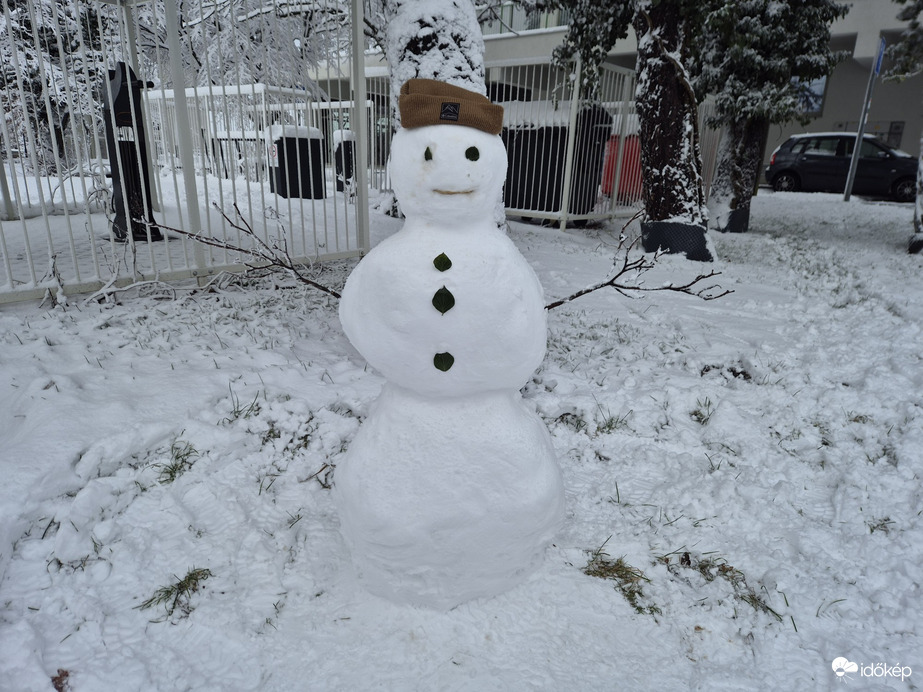 Észlelési fényképek