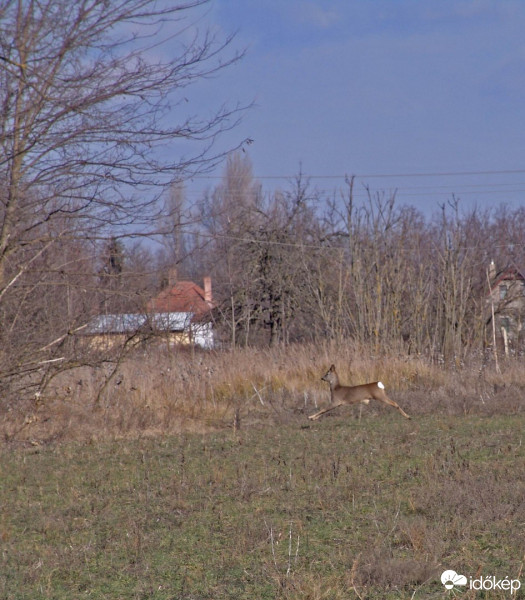 Hetényegyháza