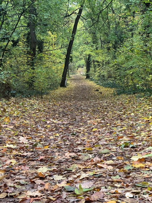 Budapest XIX.ker - Kispest