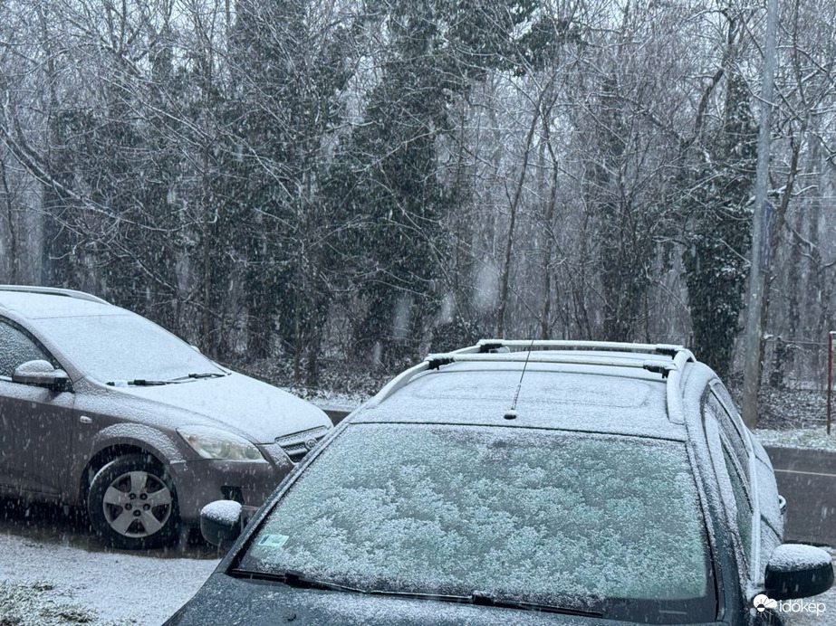 Észlelési fényképek