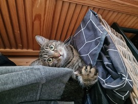 makka