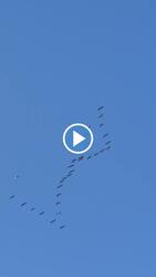 Budapest XIX.ker - Kispest