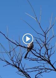 Budapest XIX.ker - Kispest