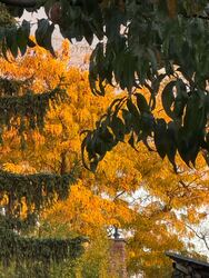 Budapest XIX.ker - Kispest