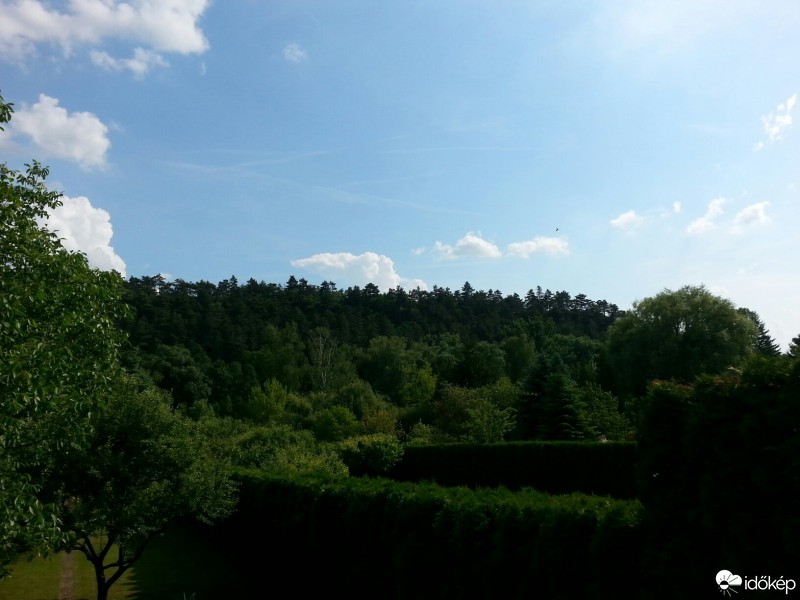 Észlelési fényképek