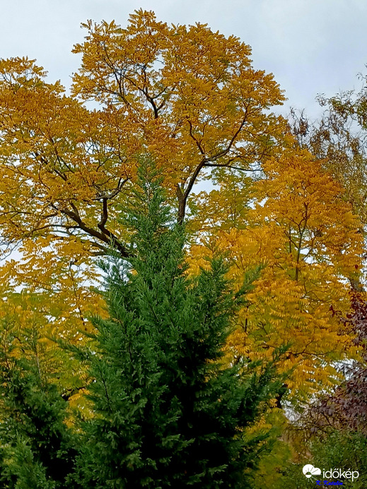 Természet: Őszi szines