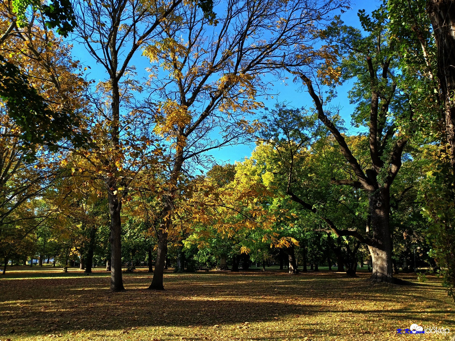 Margitszigeti ősz
