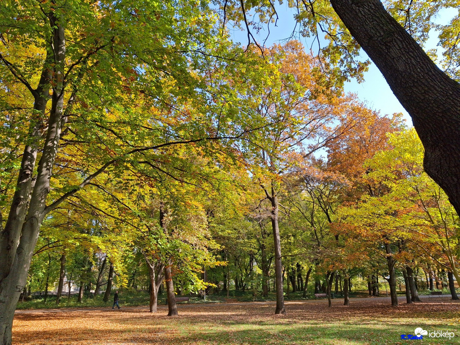 Budapest -Margit sziget