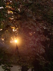 Napnyugta előtt, őszi fények