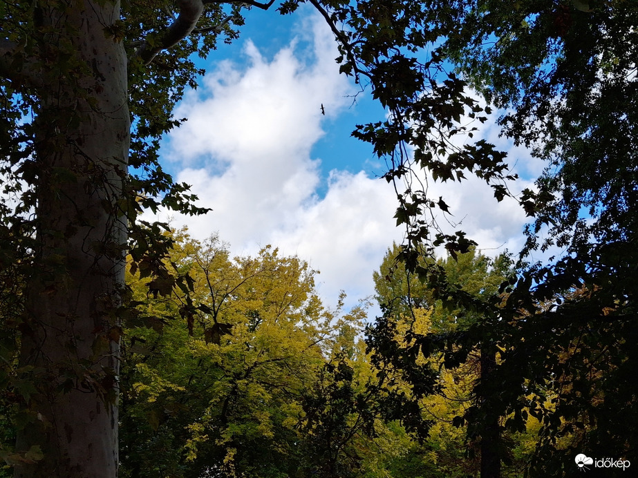 Egy kicsit sütött, egy  kicsit  borúlt, egy kicsit  fújt, a Margitszigeten a az óazi levegő. :)