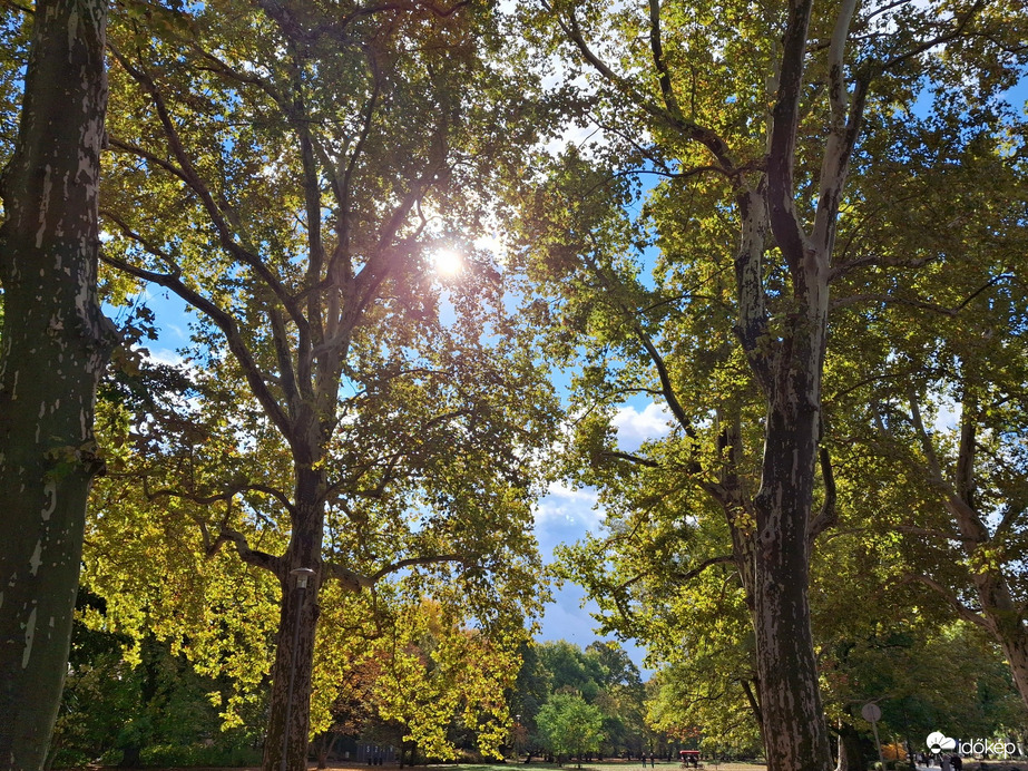 Egy kicsit sütött, egy  kicsit  borúlt, egy kicsit  fújt, a Margitszigeten a az óazi levegő. :)