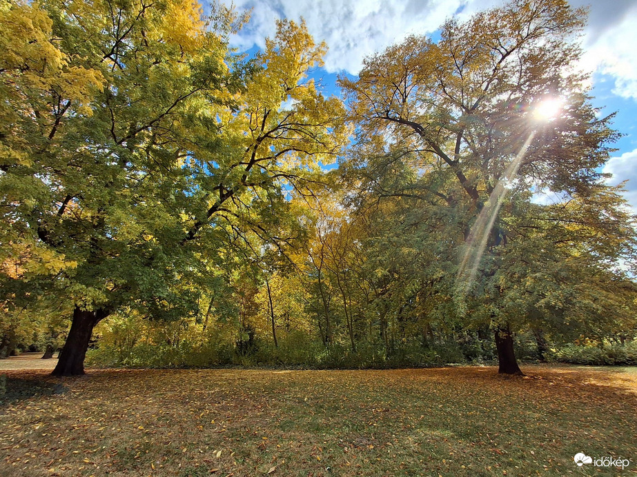 Egy kicsit sütött, egy  kicsit  borúlt, egy kicsit  fújt, a Margitszigeten a az óazi levegő. :)