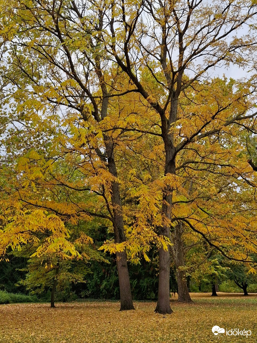 Egy kicsit sütött, egy  kicsit  borúlt, egy kicsit  fújt, a Margitszigeten a az óazi levegő. :)