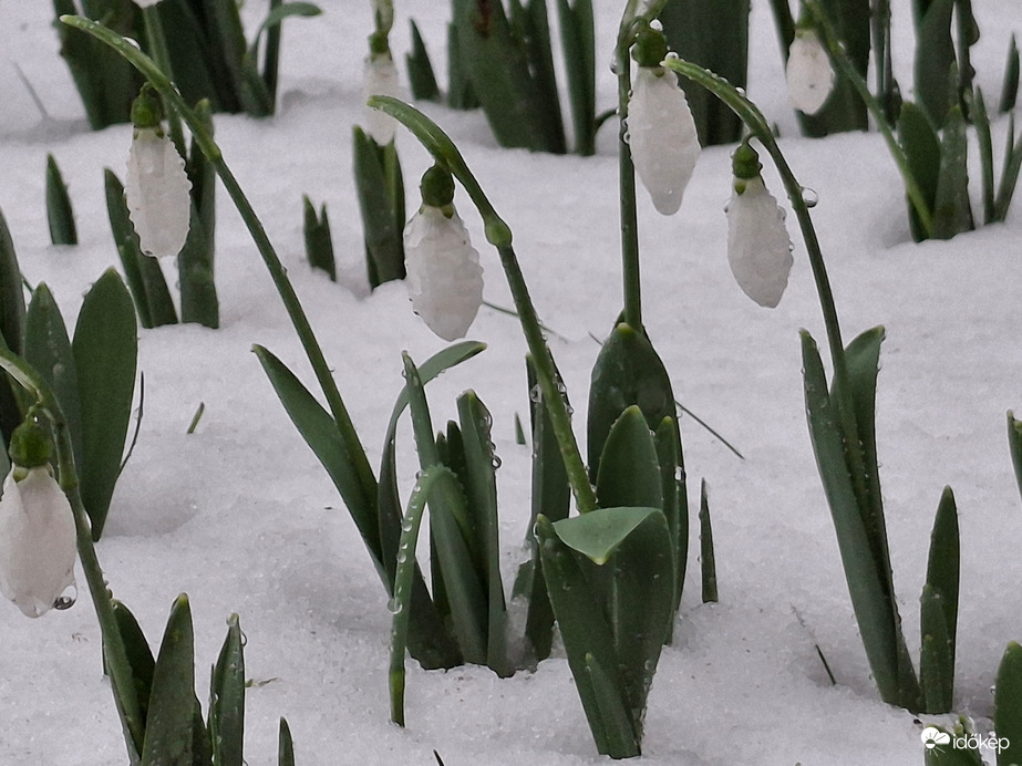 Ázottan, havasan, de nem fagyosan! :)