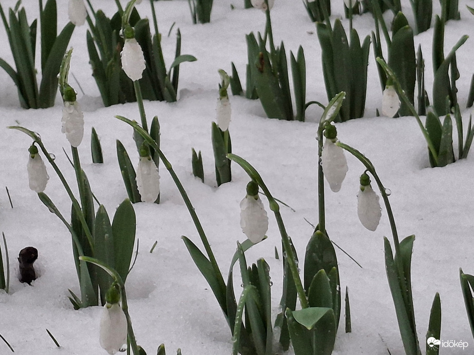 Ázottan, havasan, de nem fagyosan! :) 