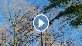 Karácsonyi ricsaj! :)