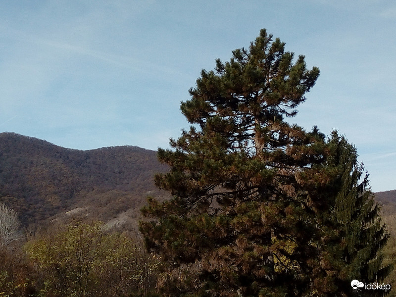 Háttérben a Bözsöny