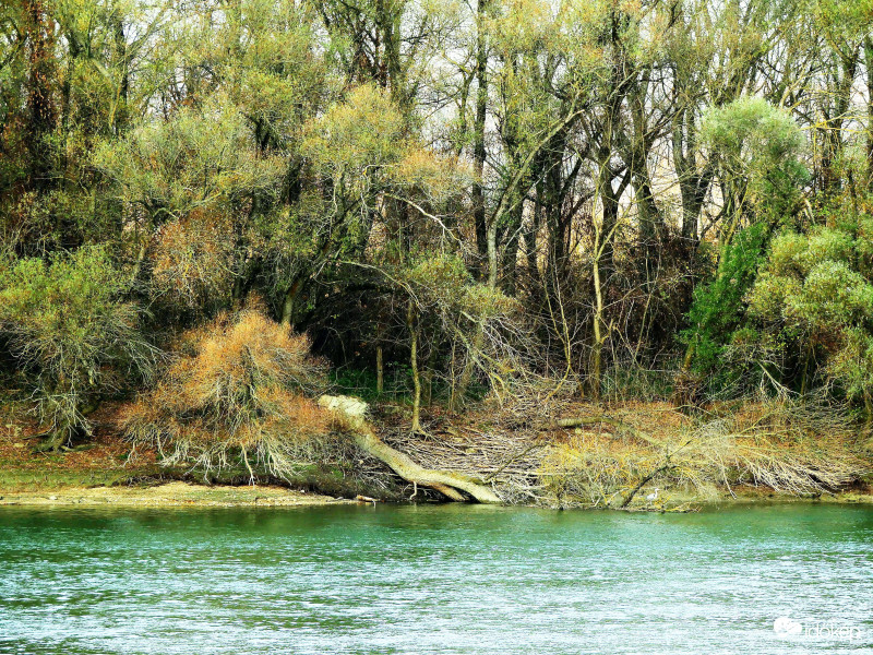 Kis Duna-ág a Dunakanyarban