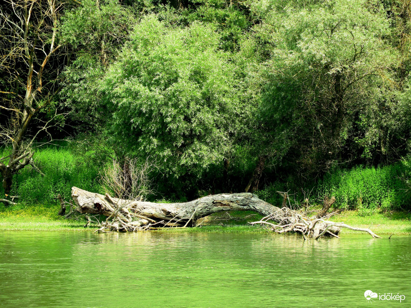 Kis Duna-ág a Dunakanyarban