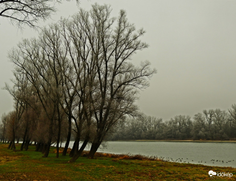 Ma délután a Dunánál, hűvös, ködös, nyirkos időben