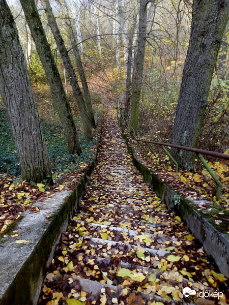 Dunakanyarban (Gizellatelep)