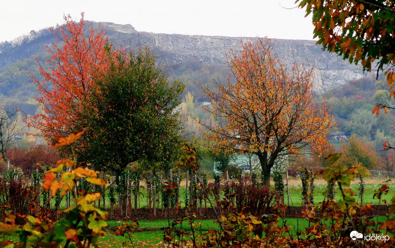 Őszi színek a dombon