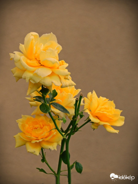 Tegnap esti naplemente