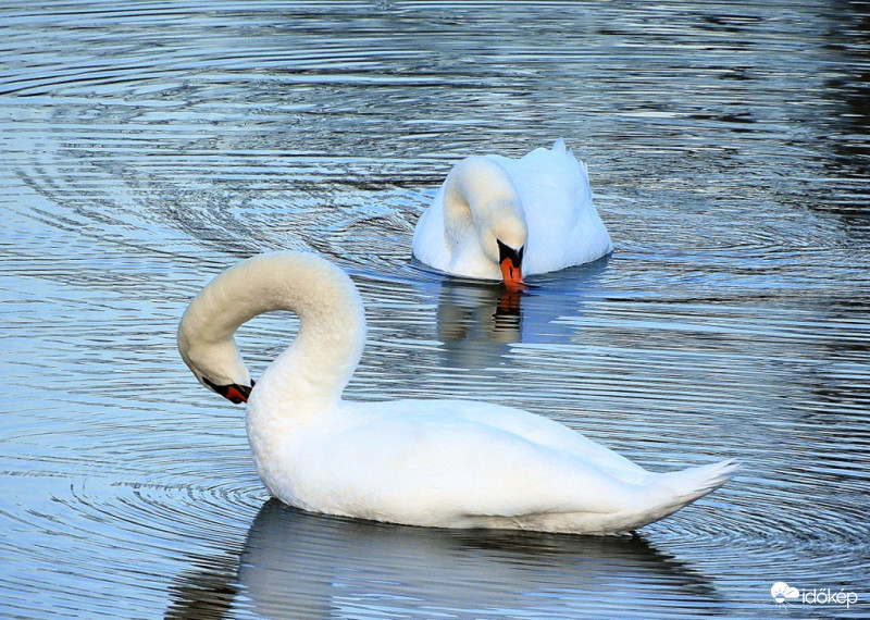 Párban tegnap délután
