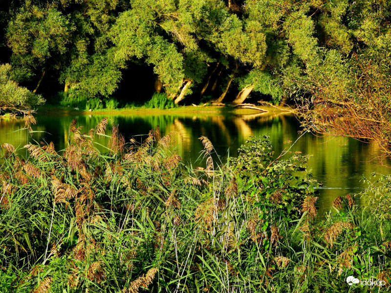 Kis Duna-ág a Dunakanyarban