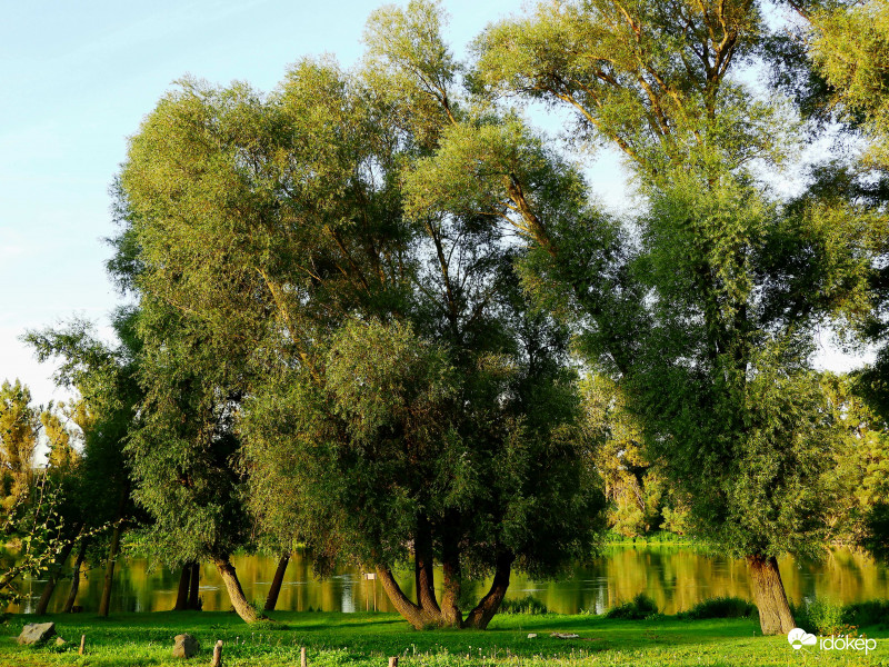 Kis Duna-ág a Dunakanyarban