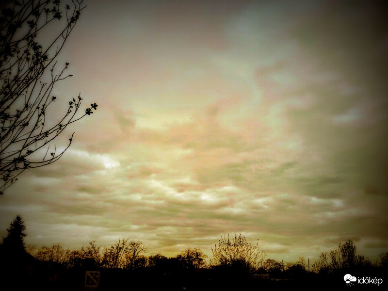 "..az én paradicsom.. "