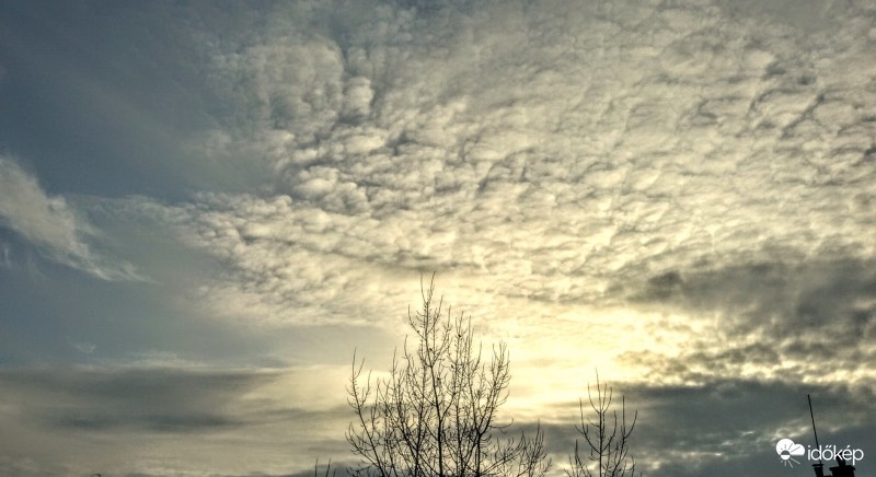 6Tyúk tava ... avagy